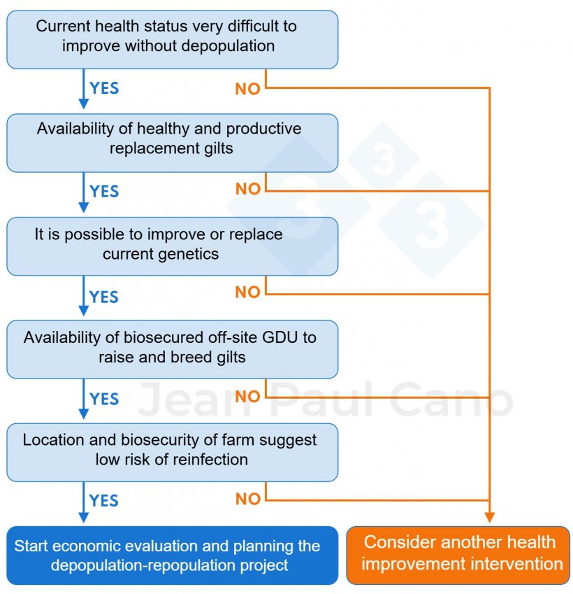 Figure 1. Decision tree to assess the feasibility of carrying out a depopulation–repopulation project. Is depopulation-repopulation of interest to my farm?